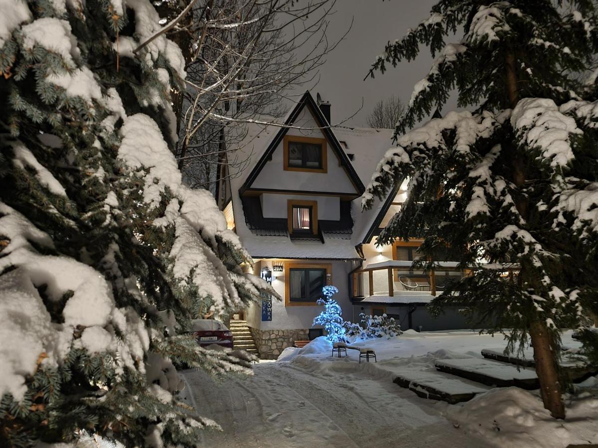 Tatrzanska Miejscowka - Apartamenty Centrum Zakopane Luaran gambar