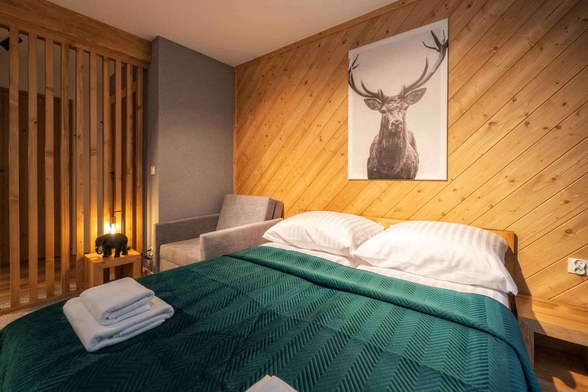 Tatrzanska Miejscowka - Apartamenty Centrum Zakopane Bilik gambar